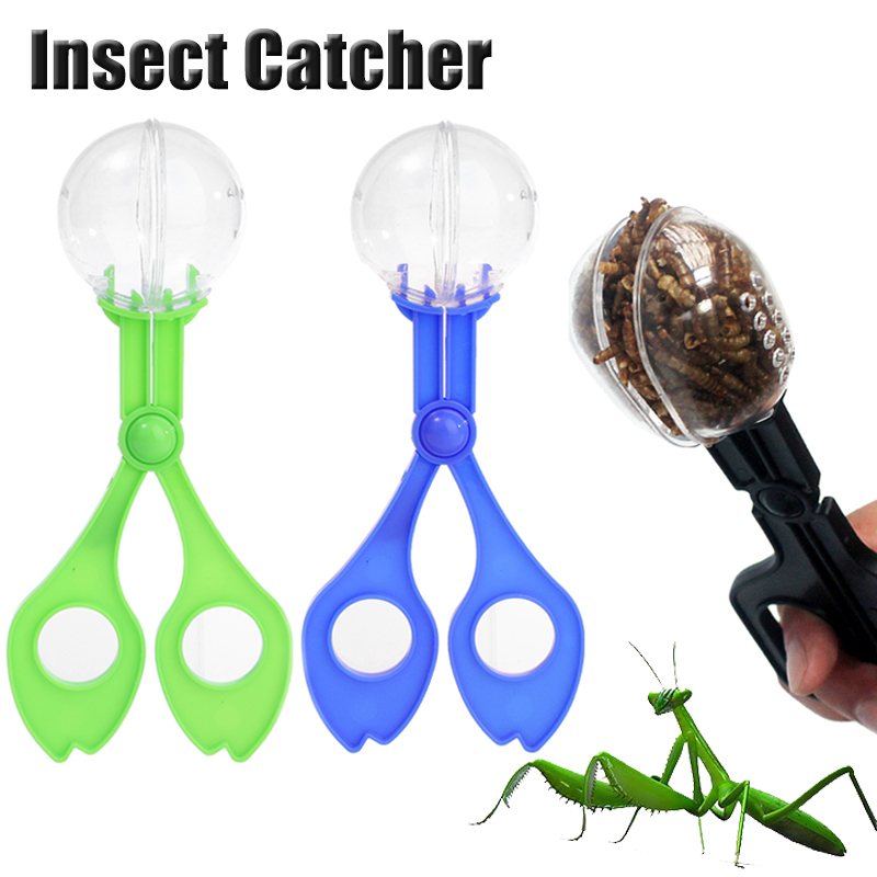 Outdoor Adventure With Kids - Kids Outdoor Adventure Insect Catching Toy