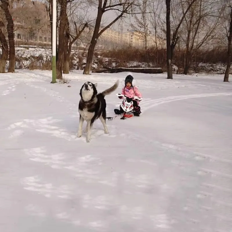 Winter Outdoor Ski Equipment – - огляд і ціна Outdoor Adventure Resorts
